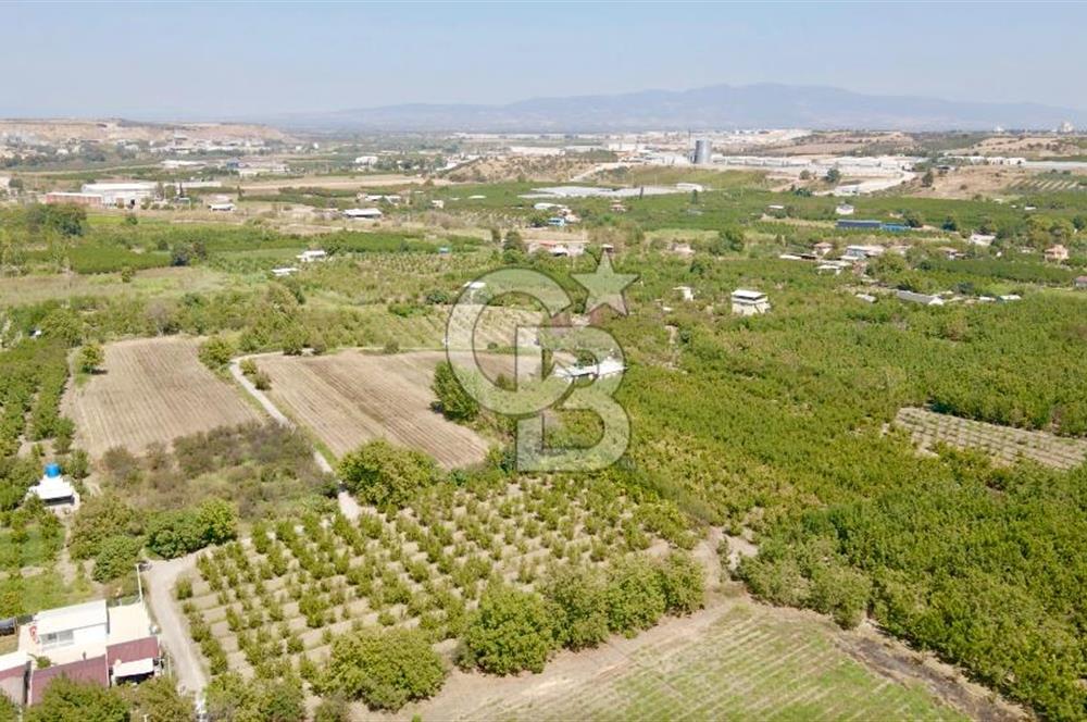KEMALPAŞA BAĞYURDU YENİ MAH. 10.482 m2 SATILIK BAĞ