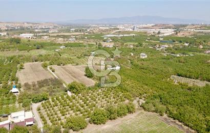 KEMALPAŞA BAĞYURDU YENİ MAH. 10.482 m2 SATILIK BAĞ