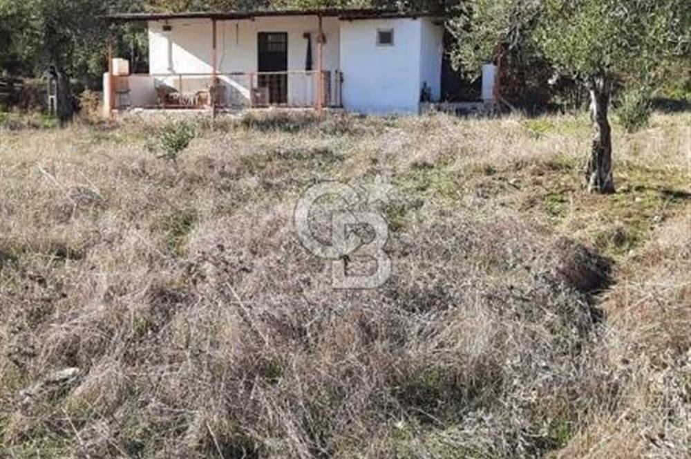 Manisa Şehzadeler Gölyeri'nde Vadi ve Baraj Manzaralı, 48 m2 Evli, 12 Dönümlük Zeytinlik Tarla Satılık