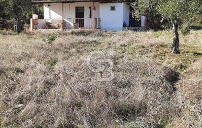 Manisa Şehzadeler Gölyeri'nde Vadi ve Baraj Manzaralı, 48 m2 Evli, 12 Dönümlük Zeytinlik Tarla Satılık