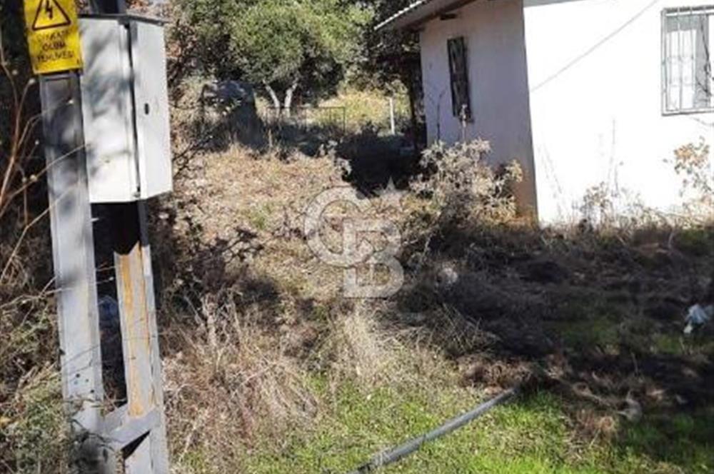 Manisa Şehzadeler Gölyeri'nde Vadi ve Baraj Manzaralı, 48 m2 Evli, 12 Dönümlük Zeytinlik Tarla Satılık