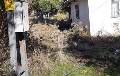 Manisa Şehzadeler Gölyeri'nde Vadi ve Baraj Manzaralı, 48 m2 Evli, 12 Dönümlük Zeytinlik Tarla Satılık