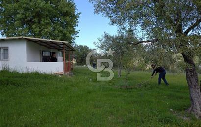 Manisa Şehzadeler Gölyeri'nde Vadi ve Baraj Manzaralı, 48 m2 Evli, 12 Dönümlük Zeytinlik Tarla Satılık