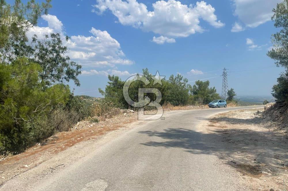 Manisa Şehzadeler Gölyeri'nde Vadi ve Baraj Manzaralı, 48 m2 Evli, 12 Dönümlük Zeytinlik Tarla Satılık