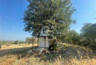 Manisa Şehzadeler Gölyeri'nde Vadi ve Baraj Manzaralı, 48 m2 Evli, 12 Dönümlük Zeytinlik Tarla Satılık