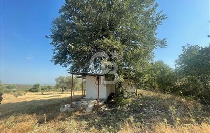 Manisa Şehzadeler Gölyeri'nde Vadi ve Baraj Manzaralı, 48 m2 Evli, 12 Dönümlük Zeytinlik Tarla Satılık