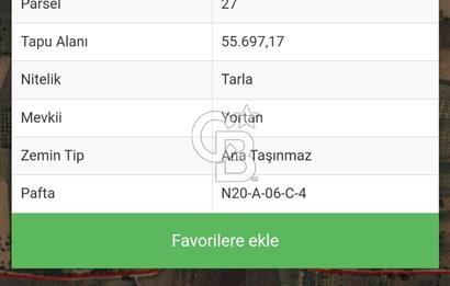 MUĞLA'DA SATILIK TARLA