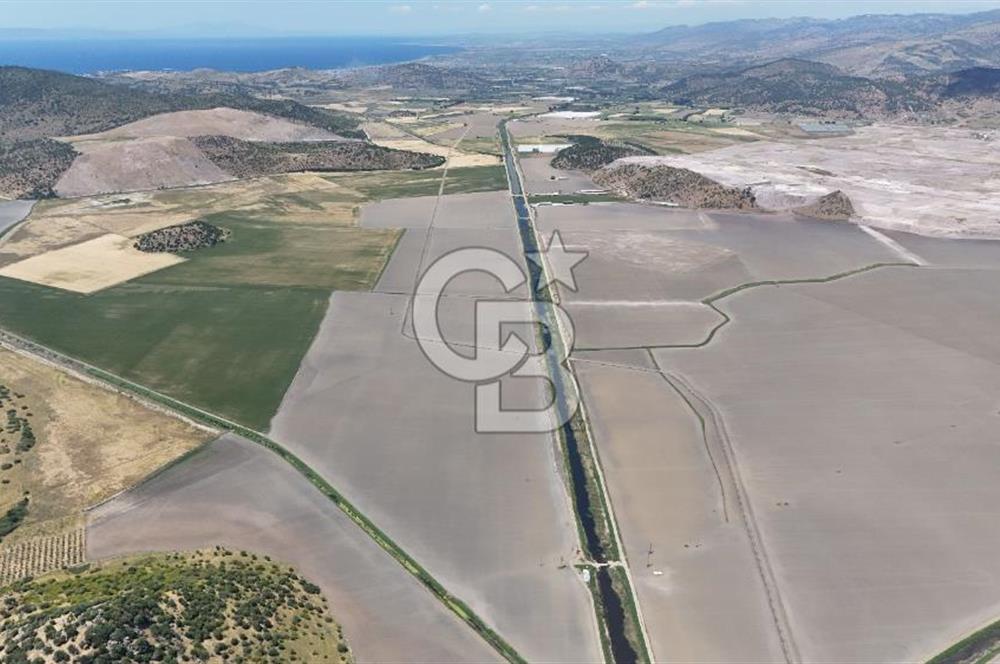 DİKİLİ SALİMBEY'DE 27.000 M2 YATIRIMLIK MUHTEŞEM KUPON ARAZİ