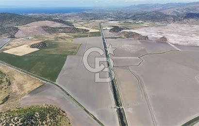 DİKİLİ SALİMBEY'DE 27.000 M2 YATIRIMLIK MUHTEŞEM KUPON ARAZİ