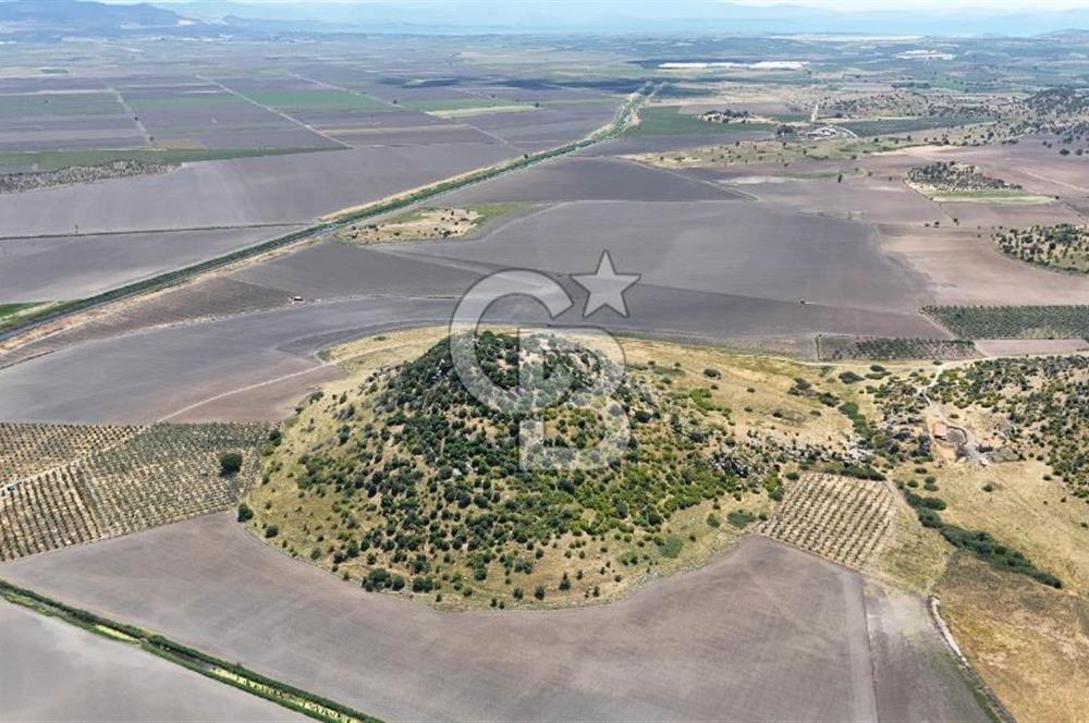 DİKİLİ SALİMBEY'DE 27.000 M2 YATIRIMLIK MUHTEŞEM KUPON ARAZİ