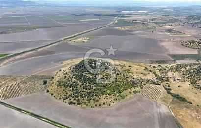 DİKİLİ SALİMBEY'DE 27.000 M2 YATIRIMLIK MUHTEŞEM KUPON ARAZİ
