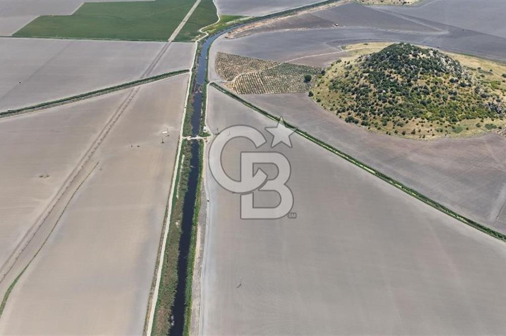 DİKİLİ SALİMBEY'DE 27.000 M2 YATIRIMLIK MUHTEŞEM KUPON ARAZİ