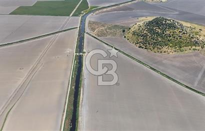 DİKİLİ SALİMBEY'DE 27.000 M2 YATIRIMLIK MUHTEŞEM KUPON ARAZİ