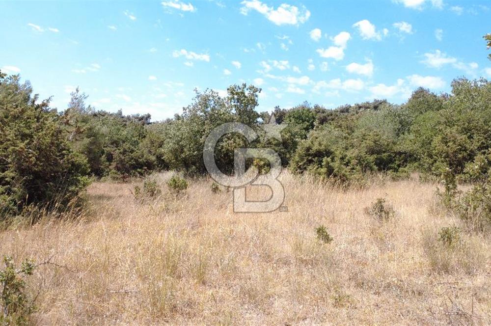 Çanakkale Ezine Kumburun’da 515 m2 Satılık İmarlı Arsa