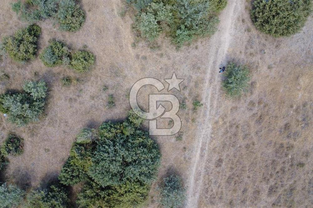 Çanakkale Ezine Kumburun’da 515 m2 Satılık İmarlı Arsa