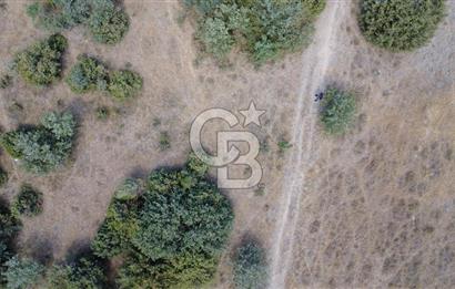 Çanakkale Ezine Kumburun’da 515 m2 Satılık İmarlı Arsa