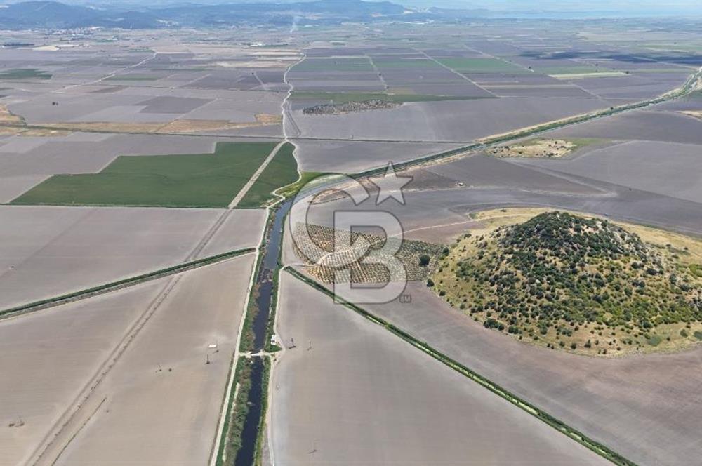 DİKİLİ SALİMBEY'DE 27.000 M2 YATIRIMLIK MUHTEŞEM KUPON ARAZİ