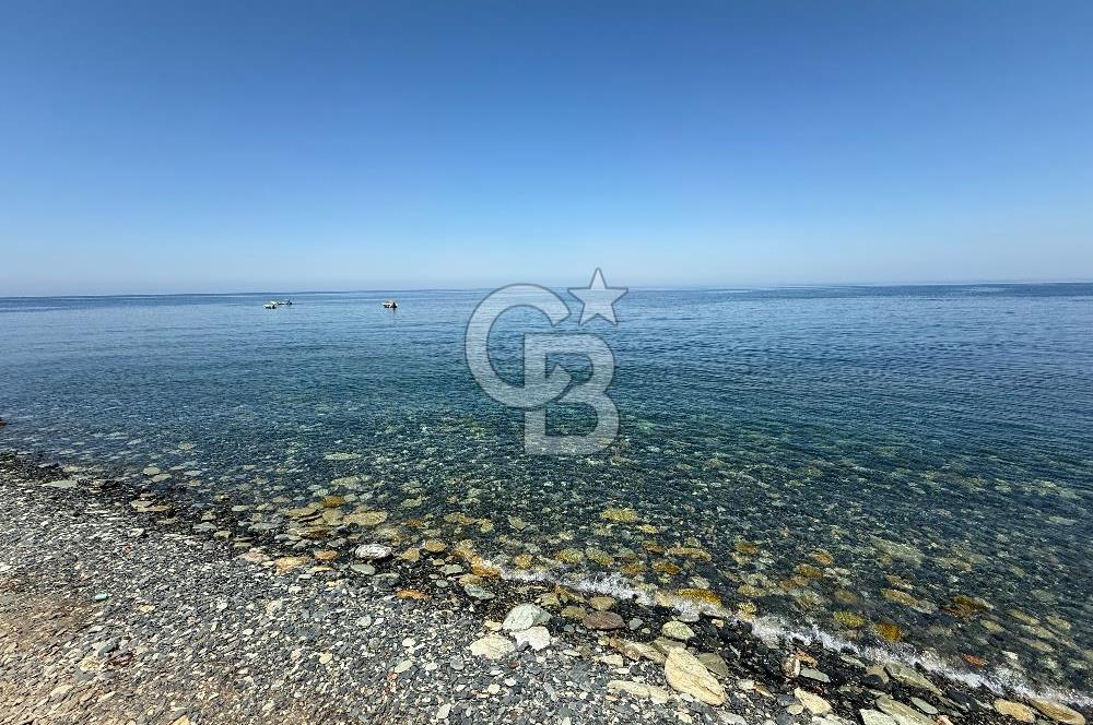 SATILIK TRIPLEKS YAZLIK YALOVA / ARMUTLU