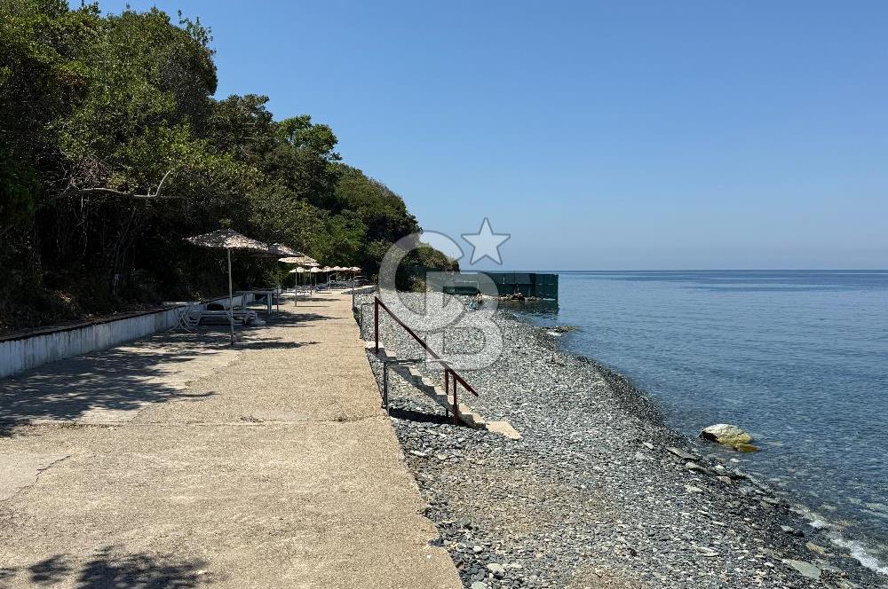 SATILIK TRIPLEKS YAZLIK YALOVA / ARMUTLU