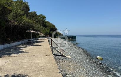 SATILIK TRIPLEKS YAZLIK YALOVA / ARMUTLU
