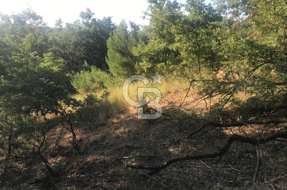 BAYRAMİÇ ALAKEÇİDE SATILIK ULAŞIMI KOLAY HAFİF EĞİMLİ TARLA