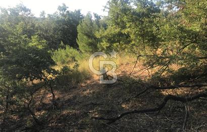 BAYRAMİÇ ALAKEÇİDE SATILIK ULAŞIMI KOLAY HAFİF EĞİMLİ TARLA