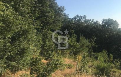 BAYRAMİÇ ALAKEÇİDE SATILIK ULAŞIMI KOLAY HAFİF EĞİMLİ TARLA