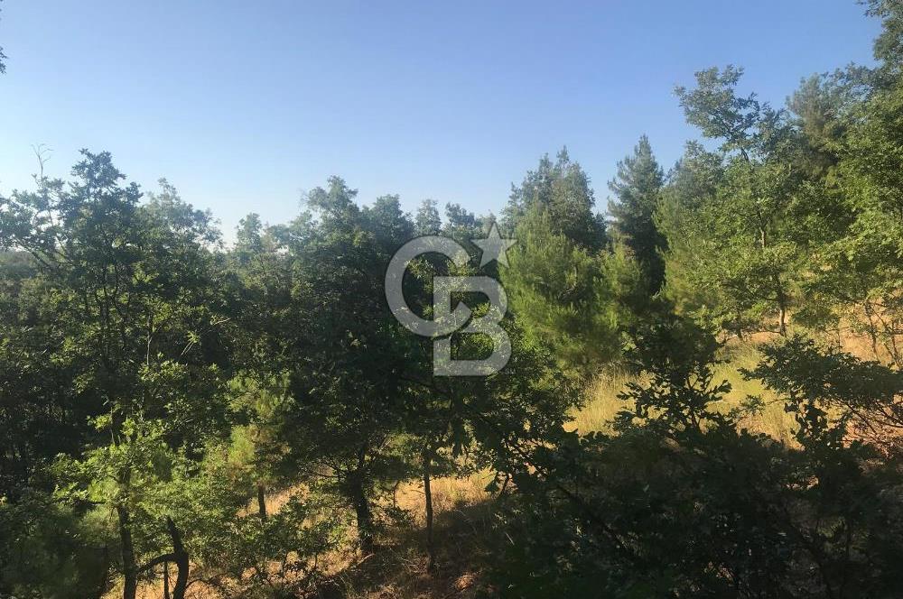 BAYRAMİÇ ALAKEÇİDE SATILIK ULAŞIMI KOLAY HAFİF EĞİMLİ TARLA