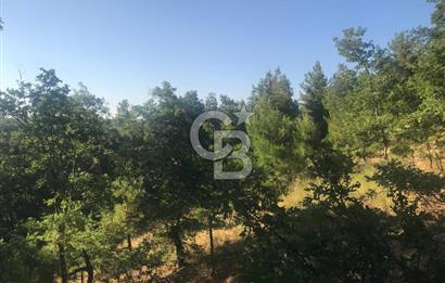 BAYRAMİÇ ALAKEÇİDE SATILIK ULAŞIMI KOLAY HAFİF EĞİMLİ TARLA