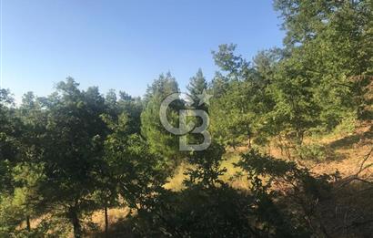 BAYRAMİÇ ALAKEÇİDE SATILIK ULAŞIMI KOLAY HAFİF EĞİMLİ TARLA