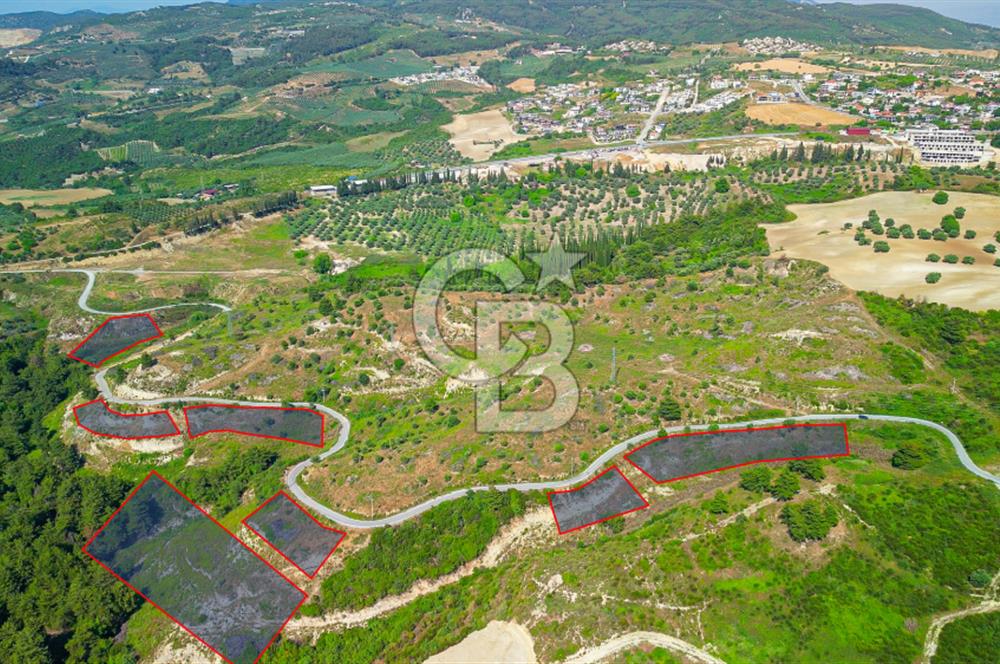 Kuşadası Soğucak’ta Eşsiz Konumda Yatırımlık Konut İmarlı 51 Parsel!