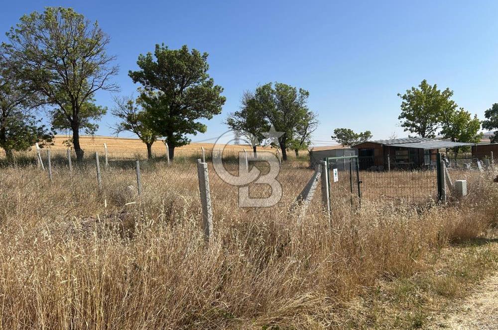 ESKİŞEHİR YOLU ALAGÖZ' YOLA CEPHE 2X400 M2 BİTİŞİK 2 BAHÇE