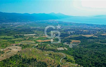 Kuşadası Soğucak’ta Eşsiz Konumda Yatırımlık Konut İmarlı 51 Parsel!