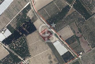 Mersin Akdeniz Evci Mahallesinde 5643 m2 Yatırımlık Arazi
