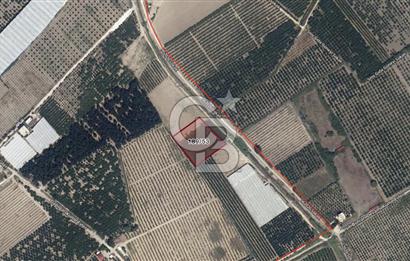 Mersin Akdeniz Evci Mahallesinde 5643 m2 Yatırımlık Arazi