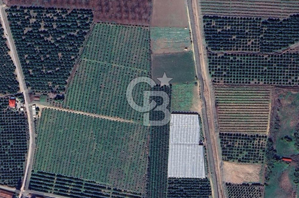 Mersin Akdeniz Evci Mahallesinde 5643 m2 Yatırımlık Arazi