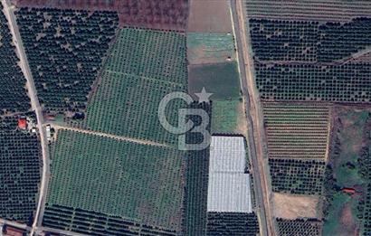 Mersin Akdeniz Evci Mahallesinde 5643 m2 Yatırımlık Arazi