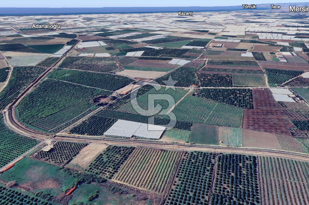 Mersin Akdeniz Evci Mahallesinde 5643 m2 Yatırımlık Arazi
