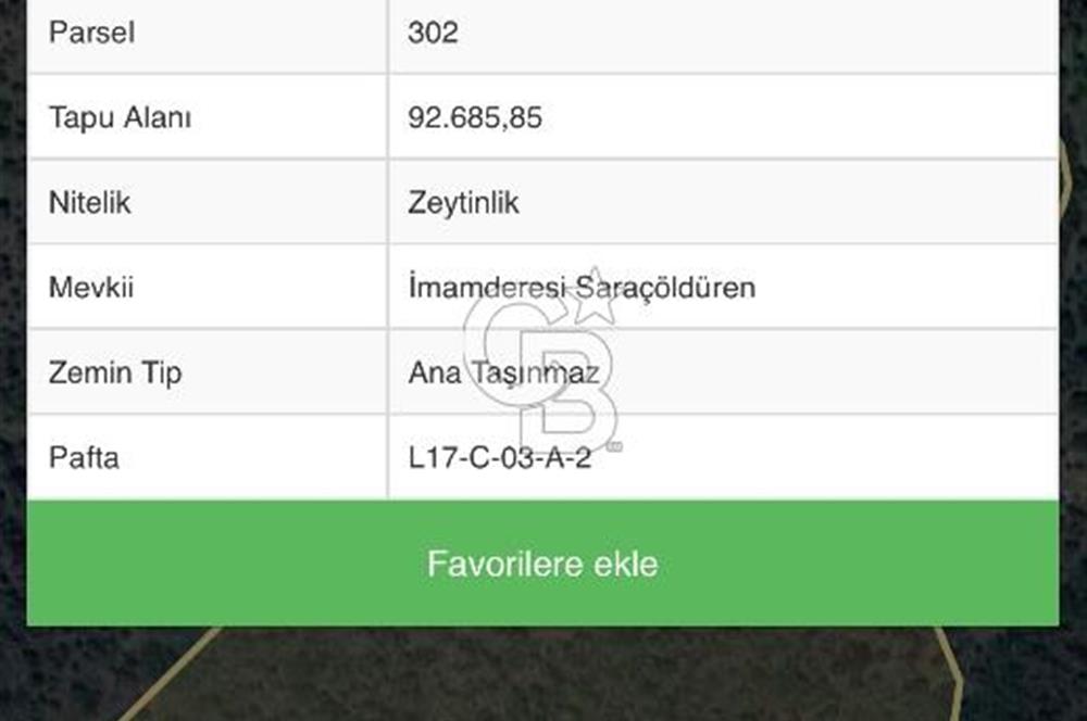 SEFERİHİSAR ULAŞMIŞ’TA YATIRIMLIK 92.685 m² ZEYTİNLİK!
