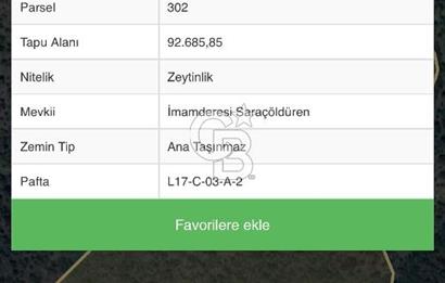 SEFERİHİSAR ULAŞMIŞ’TA YATIRIMLIK 92.685 m² ZEYTİNLİK!