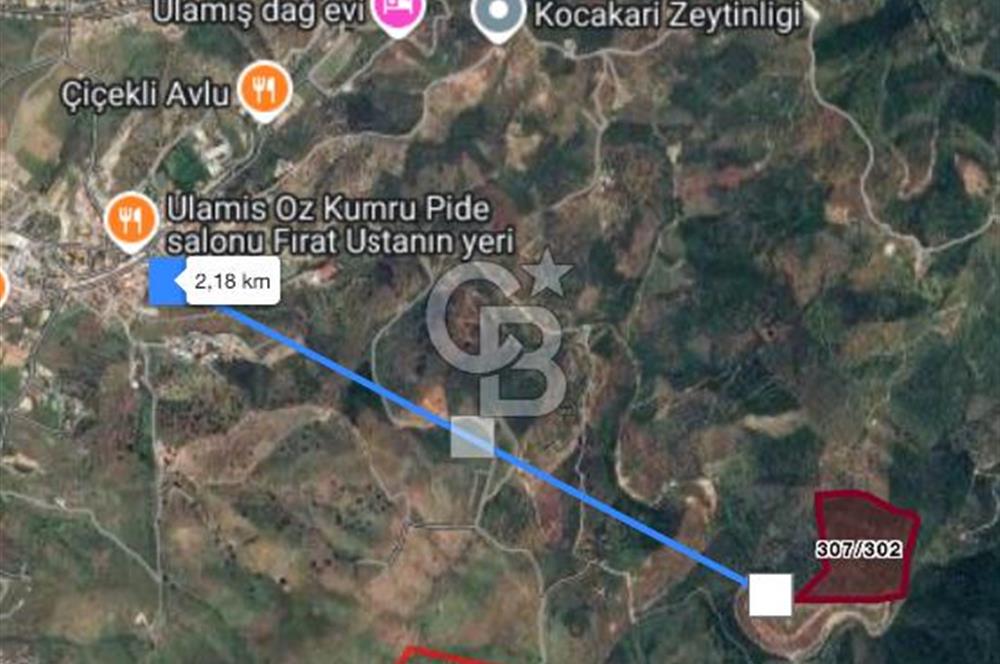 SEFERİHİSAR ULAŞMIŞ’TA YATIRIMLIK 92.685 m² ZEYTİNLİK!