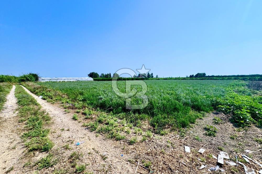 Mersin Akdeniz Evci Mahallesinde 5643 m2 Yatırımlık Arazi