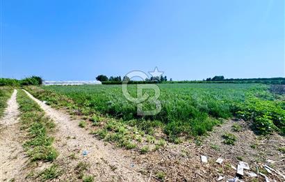 Mersin Akdeniz Evci Mahallesinde 5643 m2 Yatırımlık Arazi