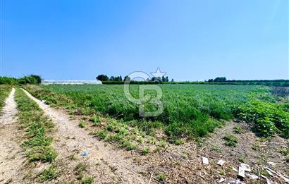 Mersin Akdeniz Evci Mahallesinde 5643 m2 Yatırımlık Arazi