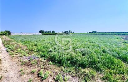 Mersin Akdeniz Evci Mahallesinde 5643 m2 Yatırımlık Arazi