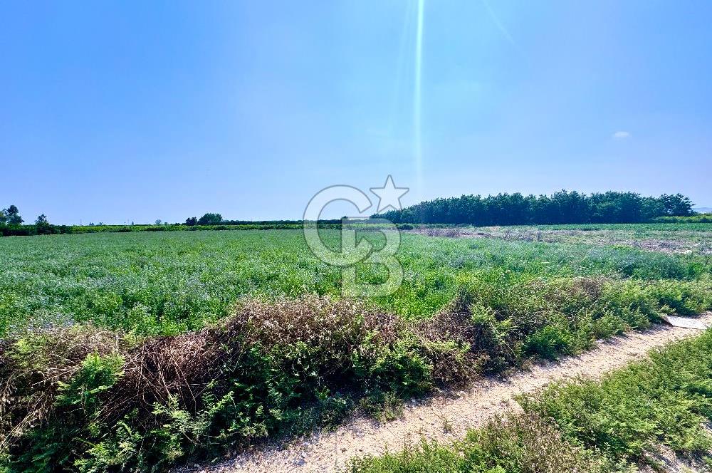 Mersin Akdeniz Evci Mahallesinde 5643 m2 Yatırımlık Arazi