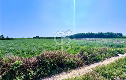 Mersin Akdeniz Evci Mahallesinde 5643 m2 Yatırımlık Arazi