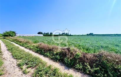 Mersin Akdeniz Evci Mahallesinde 5643 m2 Yatırımlık Arazi