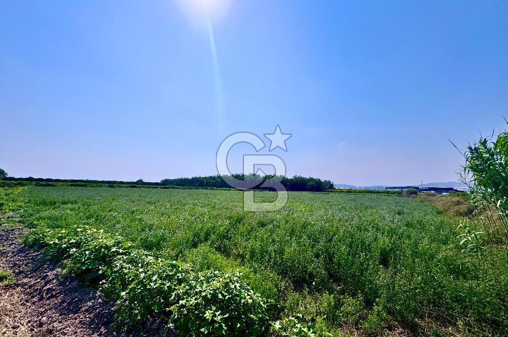 Mersin Akdeniz Evci Mahallesinde 5643 m2 Yatırımlık Arazi