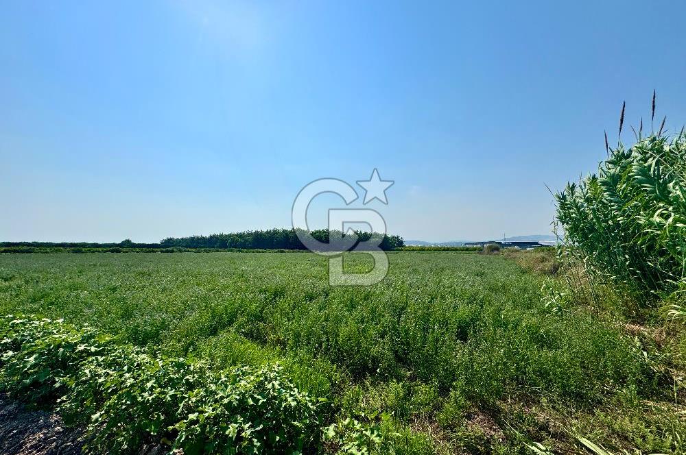Mersin Akdeniz Evci Mahallesinde 5643 m2 Yatırımlık Arazi